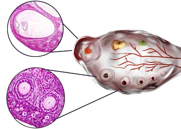 十堰招聘捐卵女孩