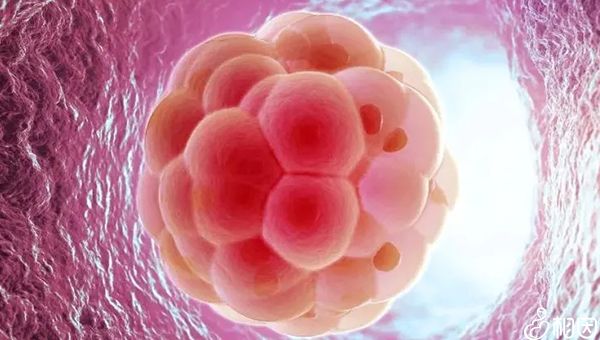 生理期第五天同房后出血